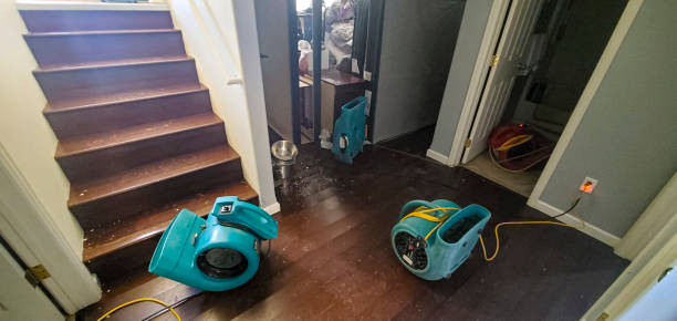 Best Water damage restoration near me  in Gulfport, MS