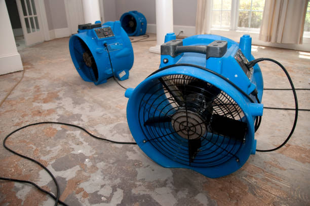 Best Flood damage cleanup  in Gulfport, MS