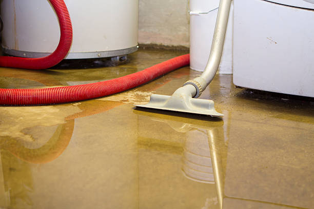 Water damage restoration mold remediation in Gulfport, MS