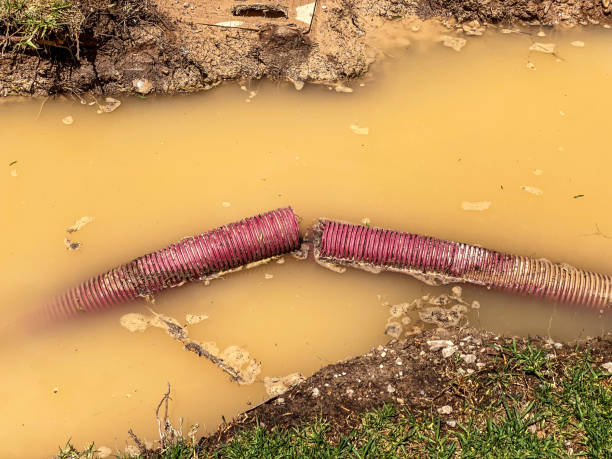 Best Emergency water damage restoration  in Gulfport, MS